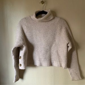 Madewell Turtleneck Sweater w Buttons